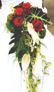 Tanzkurs f�r Hochzeitspaare und Trauzeugen am Bodensee beim Hartwig